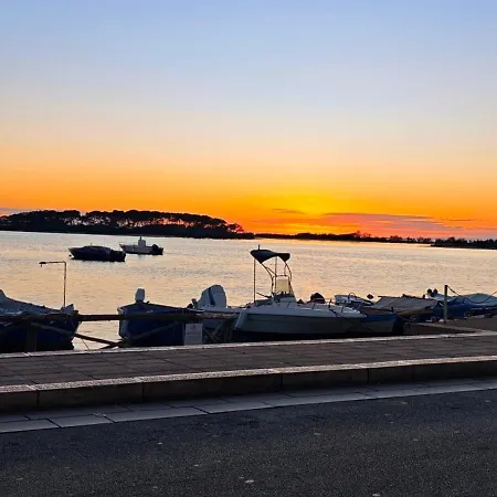 Silvia Porto Cesareo